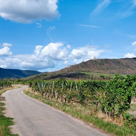 S' Garte Hiesel - Rosine Et Pierre Tatil Evi