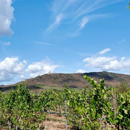 S' Garte Hiesel - Rosine Et Pierre Tatil Evi Scherwiller